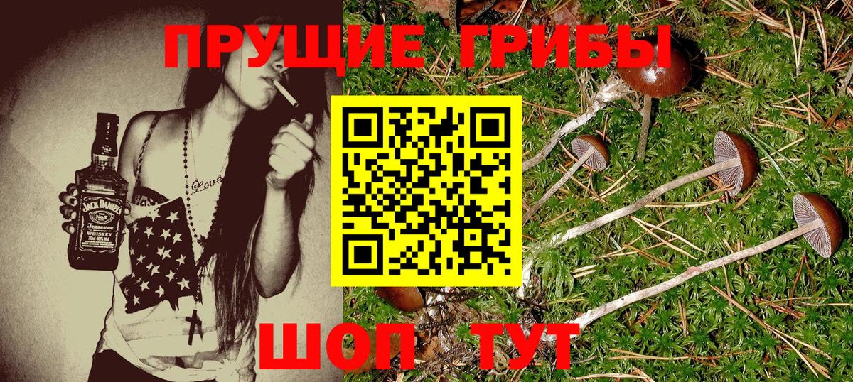 Нижний Тагил  Галлюциногенные грибы Magic Shrooms  Псилоцибиновые грибы Cubensis  Вход с VPN 